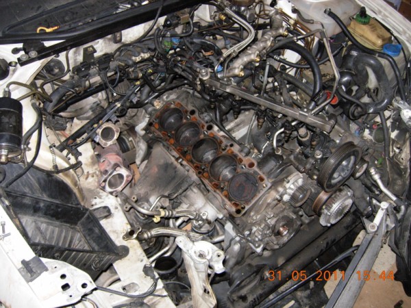 DSCN5320 [].JPG