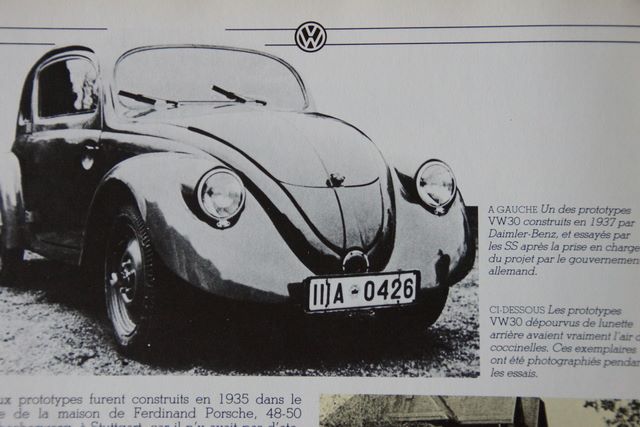 photococcinelle003[1].jpg