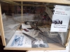 ingo-100-ans-vitrine-005_redimensionner.jpg